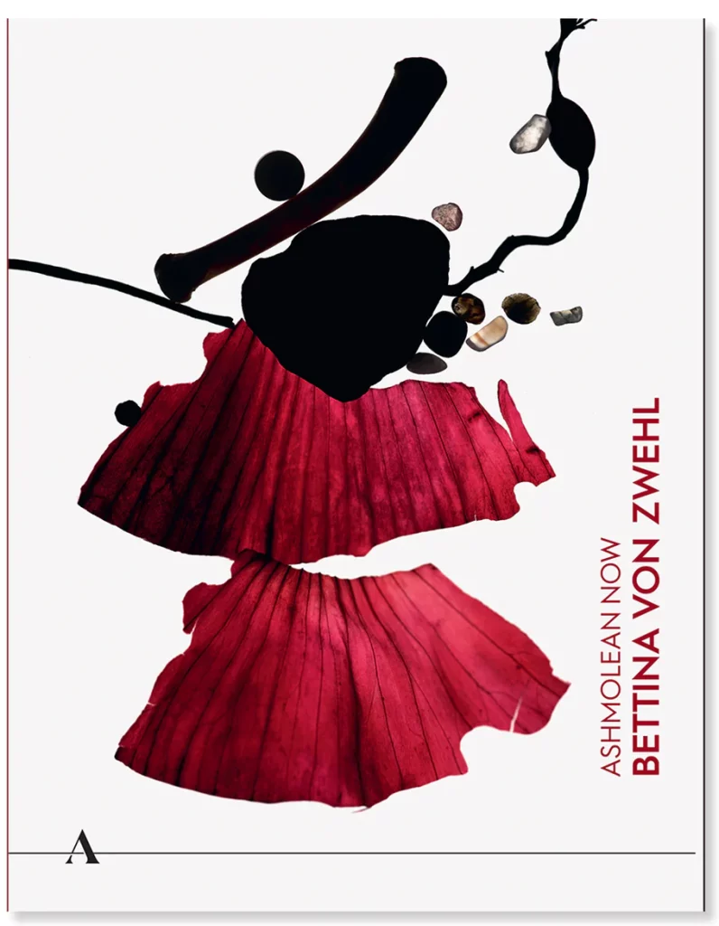 Ashmolean NOW: Bettina von Zwehl